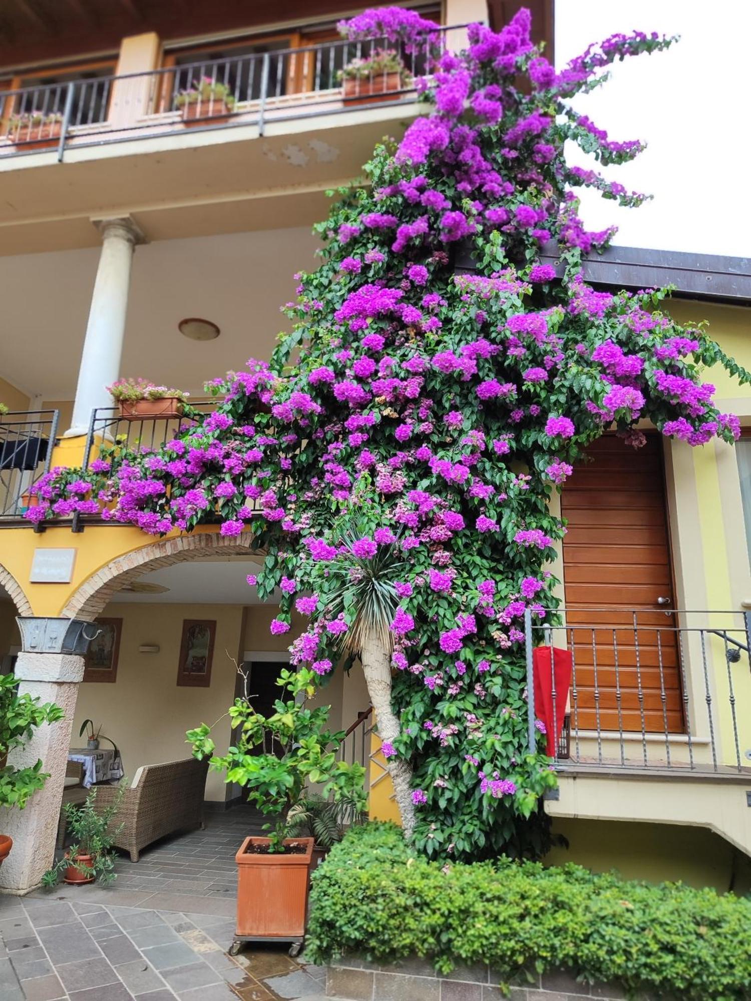 Moniga del Garda Agriturismo Il Barone מראה חיצוני תמונה