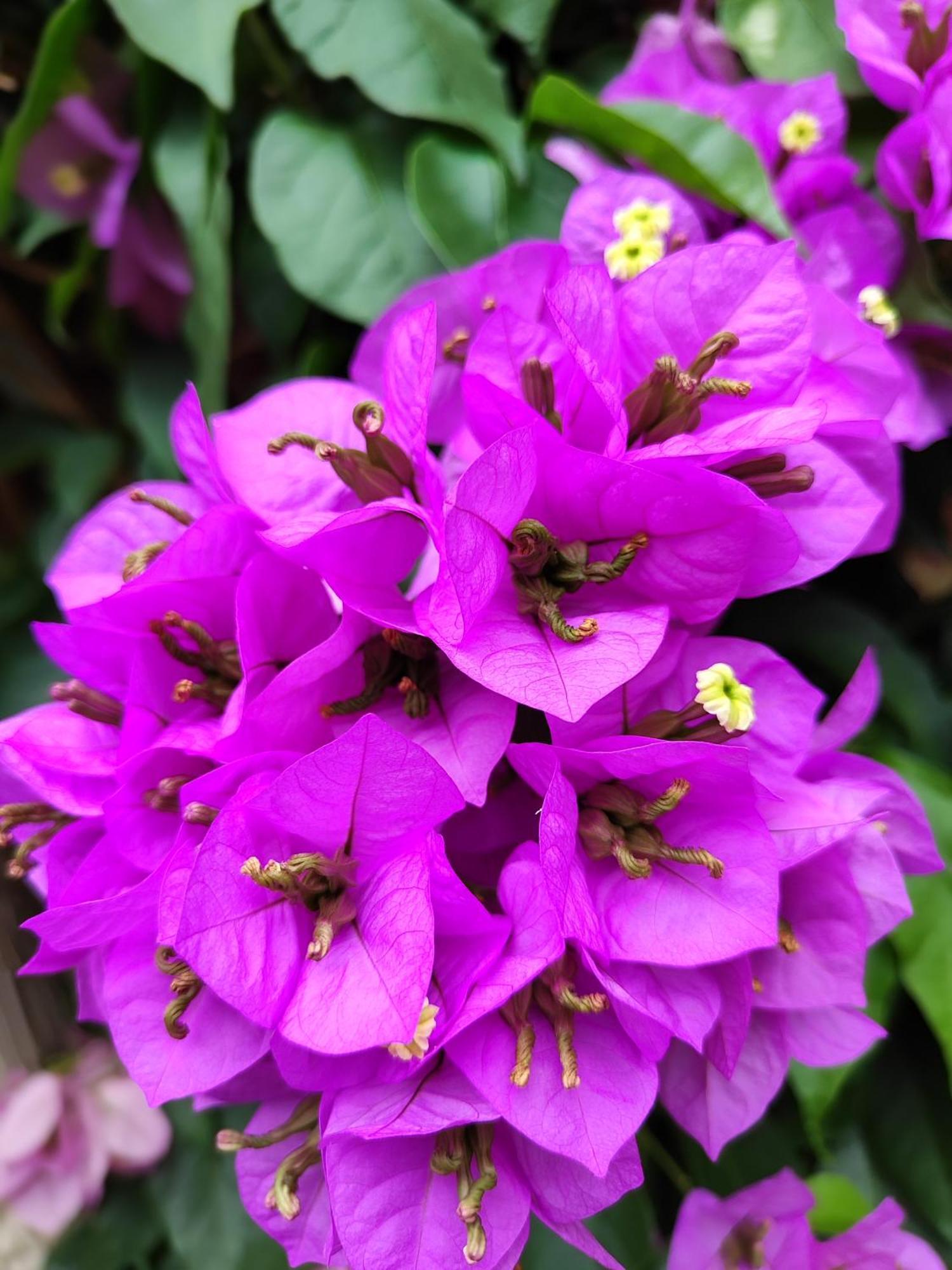 Moniga del Garda Agriturismo Il Barone מראה חיצוני תמונה